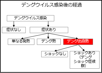 デング熱 致死 率